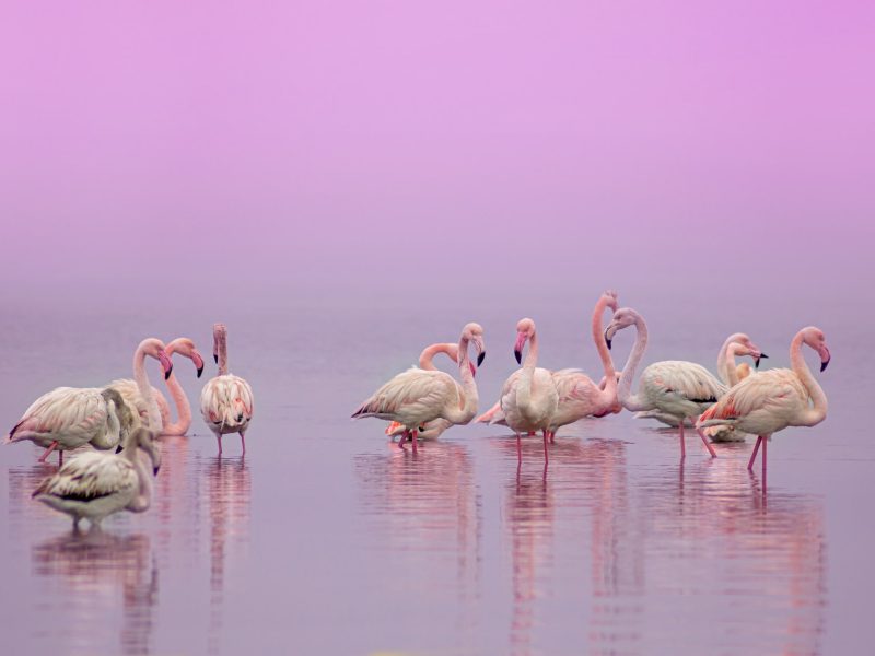 Tropikal-Kite-School-El-Cuyo-Activities-Colorados-min